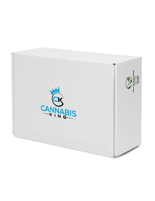 Baskets hautes en toile femme - Cannabis King