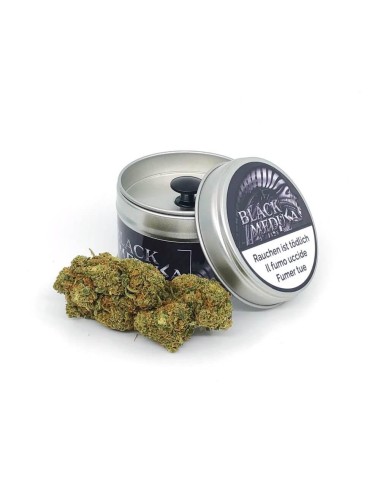 Black Medusa - Nine Worlds