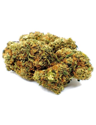 Black Medusa - Nine Worlds