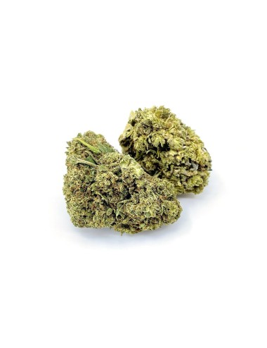 Afghan Skunk - "Billy The Weed" - Wild Wild Weed