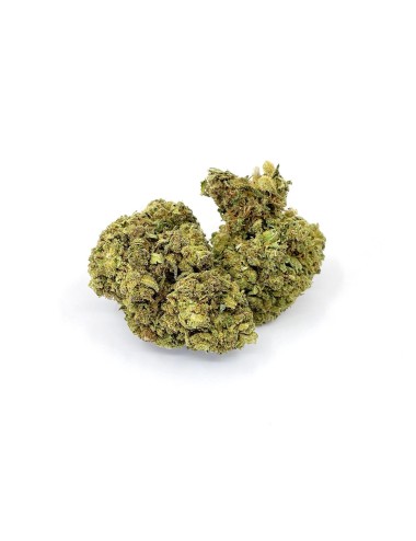 Amnesia Haze - "Billy The Weed" - Wild Wild Weed