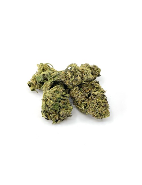 Strawberry - Old range Wild Wild Weed - CBD hemp Switzerland