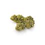 Mango Haze - Wild Wild Weed - Schweizer CBD Blüten Outdoor