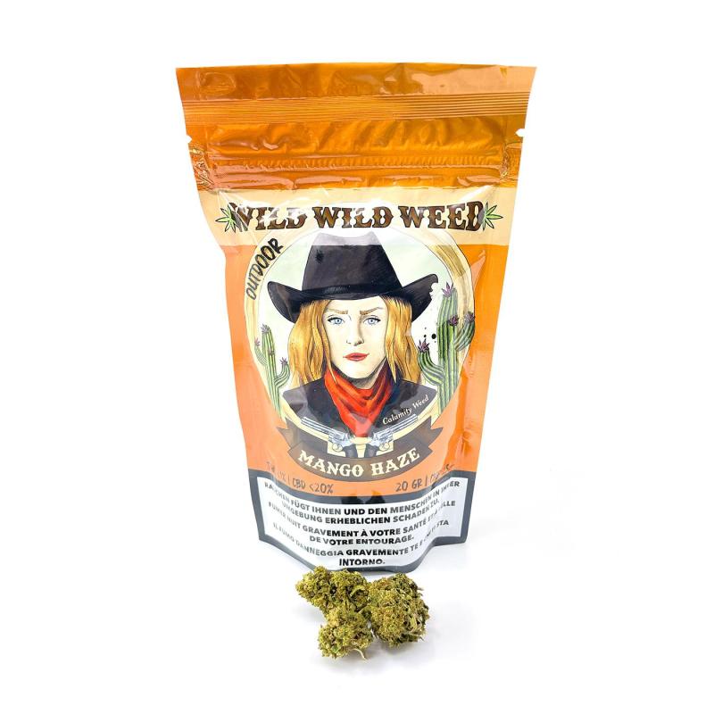 Mango Haze - Wild Wild Weed - Schweizer CBD Blüten Outdoor