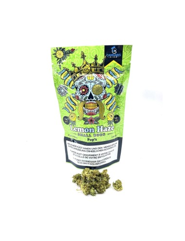 Lemon Haze "Pop's" Small Buds - Cannabis King