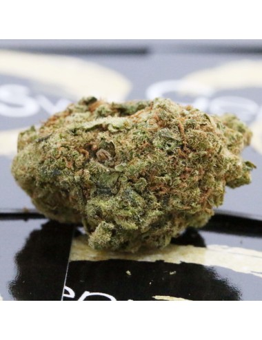 CH Red Bud - Genuine Swiss