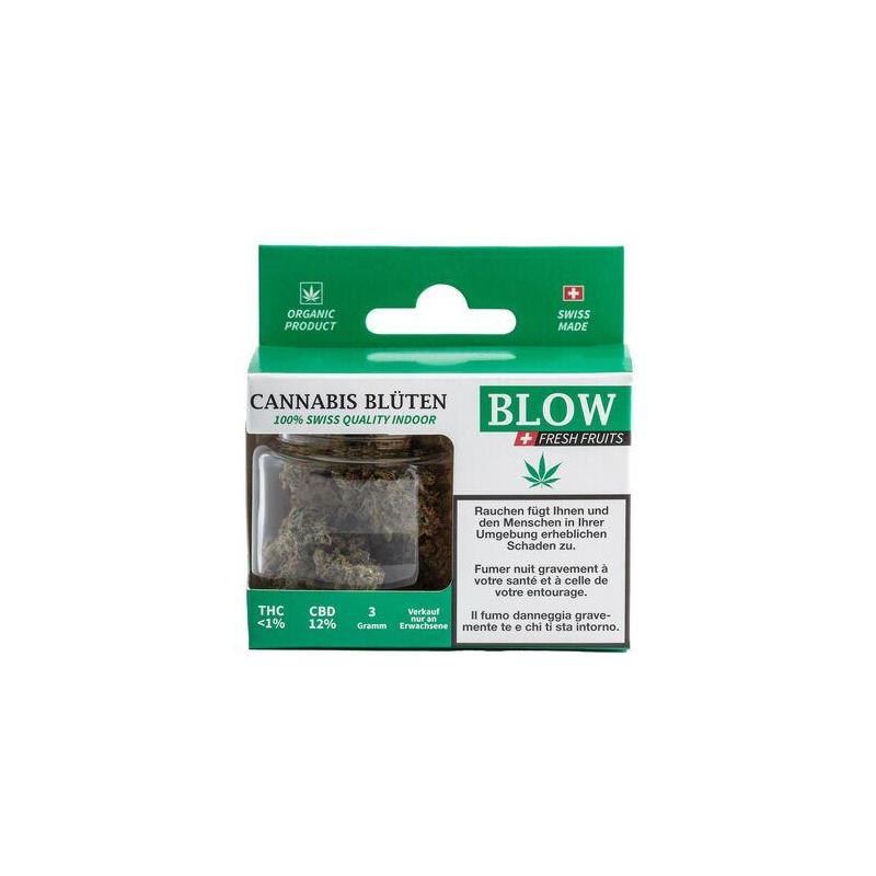 Blow - Indoor Green (CHF 26.