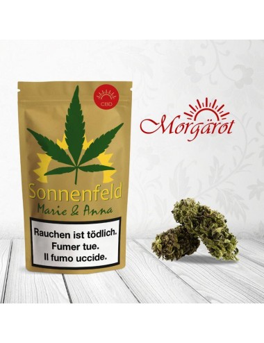 Sonnenfeld - Marie & Anna - Morgärot