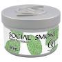 Social Smoke - Mint (100g) KC Import