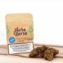 Herba di Berna - Cannatonic Indoor (CHF 10.