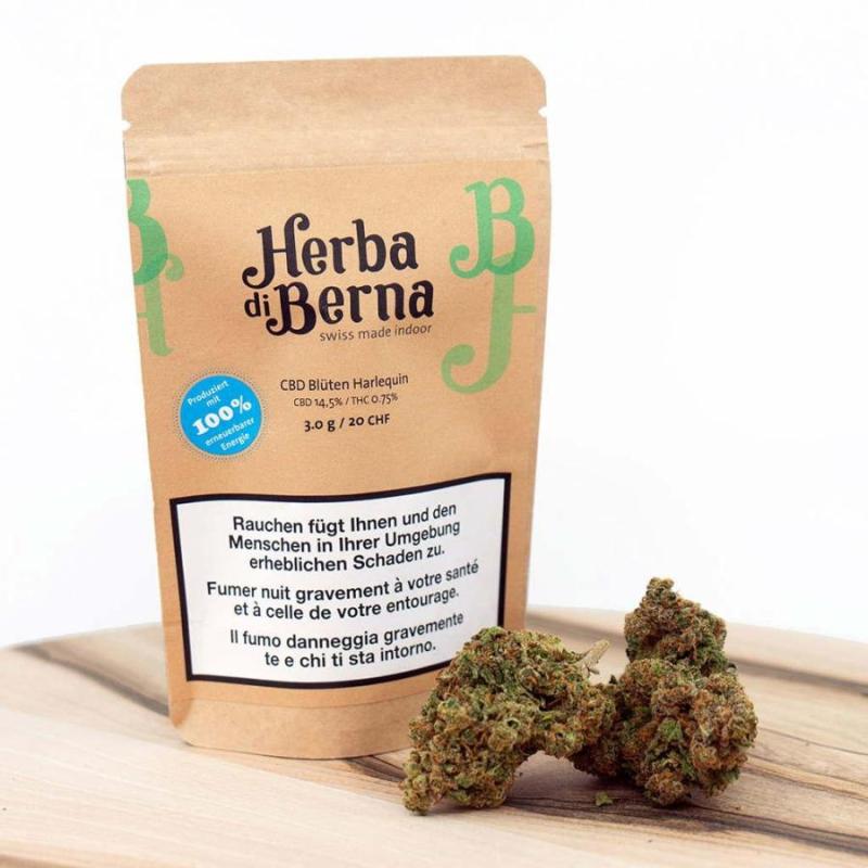 Herba di Berna - Harlequin Indoor (CHF 20.