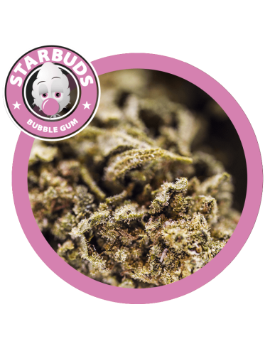 Bubble Gum - Starbuds