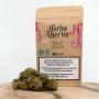 Herba di Berna - Cannaqueen Indoor (CHF 20.