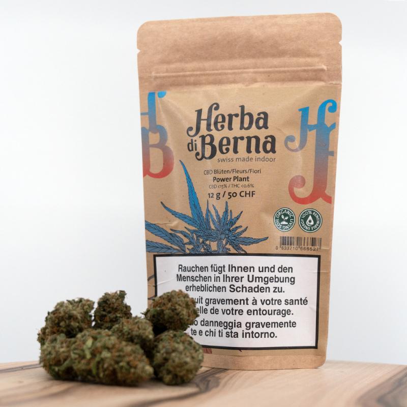 Herba di Berna - Power Plant Indoor (CHF 50.