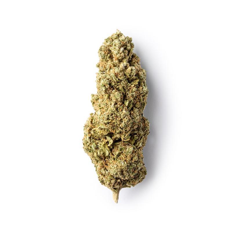 Green Passion - Passion Kush Indoor (CHF 13.