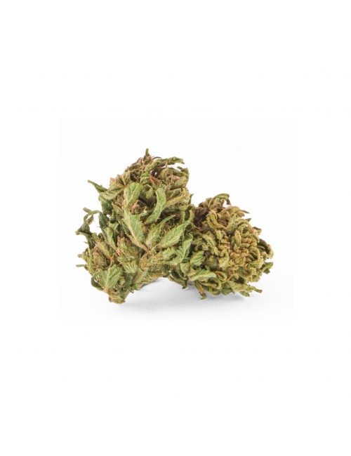 Cannatura - Wild Outdoor (CHF 21.90/5g)