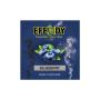 Efendy - Blueberry (100g) Tabac pour shisha