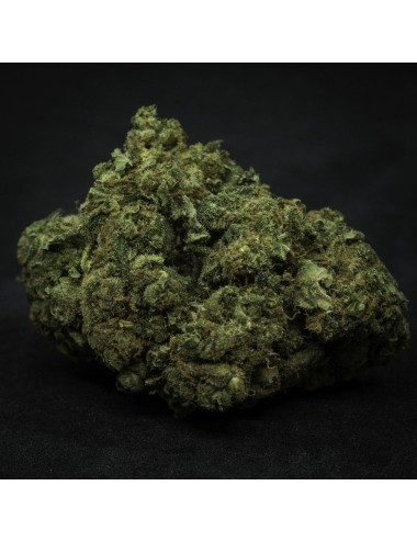 Zauber Blüten - Basilia Suavis (CHF 18.00/2g)