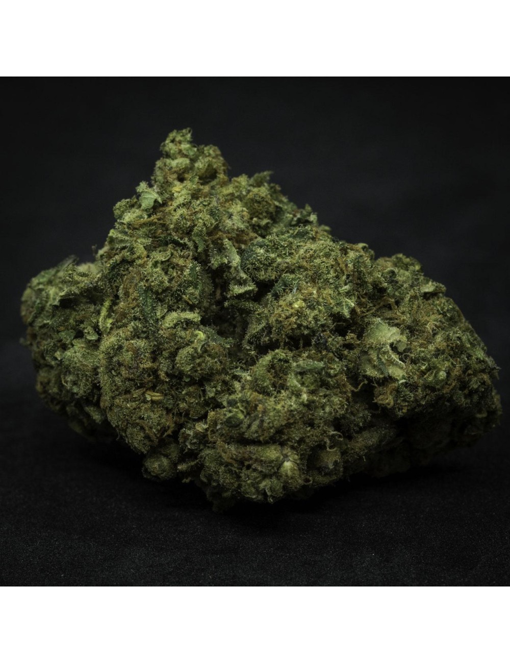 Zauber Blüten - Basilia Suavis (CHF 18.00/2g)