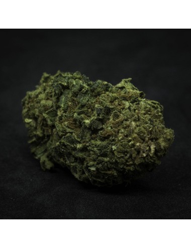 Zauber Blüten - Aravia Fructus (CHF 18.00/2g)