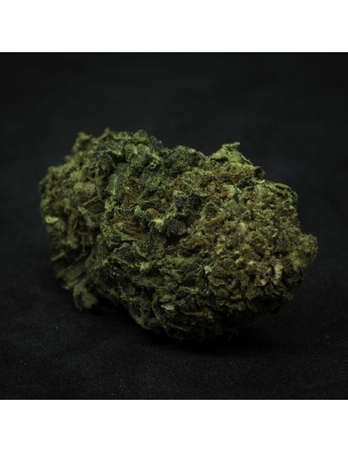 Zauber Blüten - Aravia Fructus (CHF 18.00/2g)