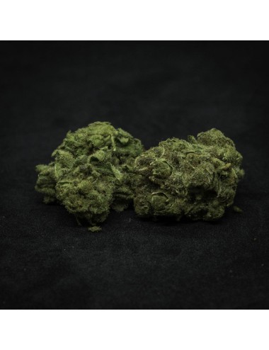 Zauber Blüten - Turicum Fortis (CHF 18.00/2g)