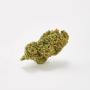 Sweed - Super Silver Haze - Small Buds (CHF 45.