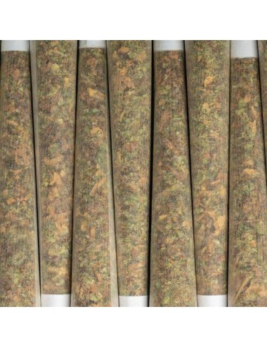 Blow - 20 Joints Sweet Haze Yellow