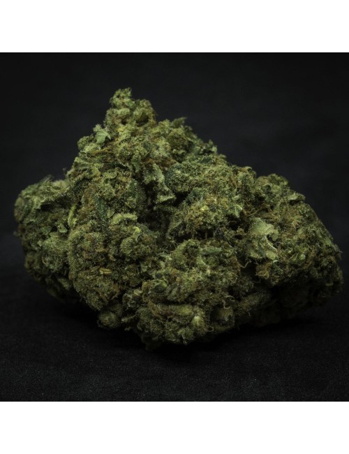 Zauber Blüten - Basilia Suavis (CHF 35.00/4.5g)