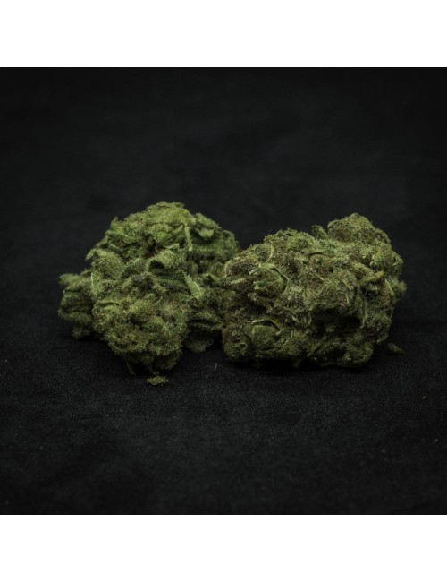 Zauber Blüten - Turicum Fortis (CHF 35.00/4.5g)