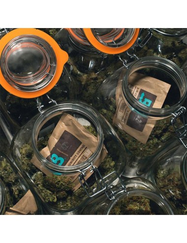 Boveda Hygro-Pack 58% - 4g