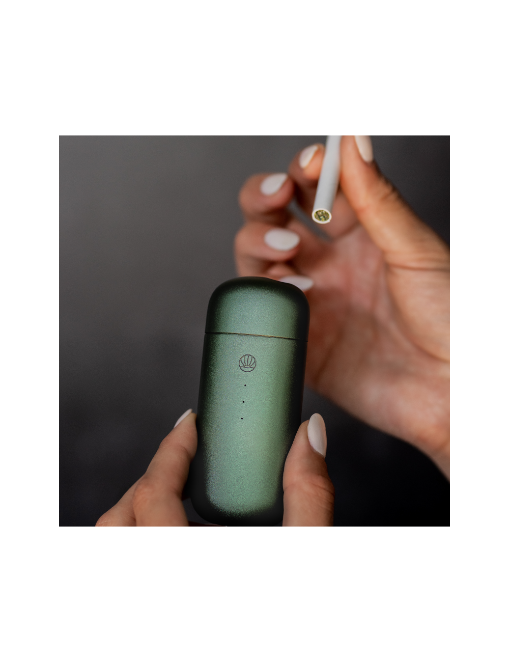 Heimat Cannabis Sticks Ernst 12 pcs. (Omura Heat-not-Burn)