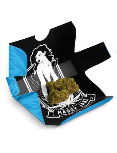 Marry Jane - Jack's Haze (CHF 21.90/4g)