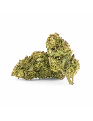 Cannatura - Natural Outdoor (CHF 22.90/5g)