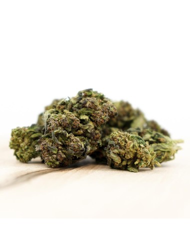 Herba di Berna - Mango Haze Outdoor (CHF 40.00/45g)