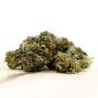 Herba di Berna - Mango Haze Outdoor (CHF 40.00/45g)