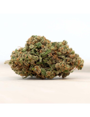 Herba di Berna - Harlequin Indoor (CHF 20.00/3g)
