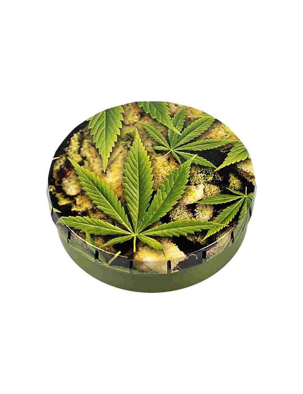 Click-Clack Box - Buds + Leaves (5.5cm)