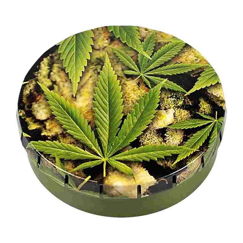 Click-Clack Box - Buds + Leaves (5.5cm)