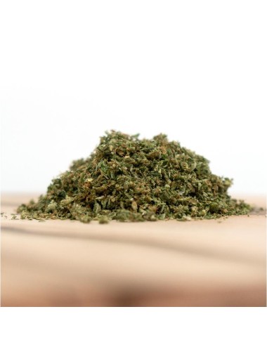 Herba di Berna - Cannaqueen Indoor Trim (CHF 25.00/20g)
