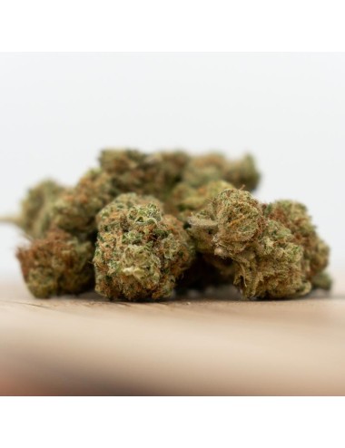 Herba di Berna - Cannaqueen Indoor (CHF 50.00/10g)