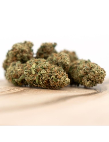 Herba di Berna - Power Plant Indoor (CHF 20.00/4g)