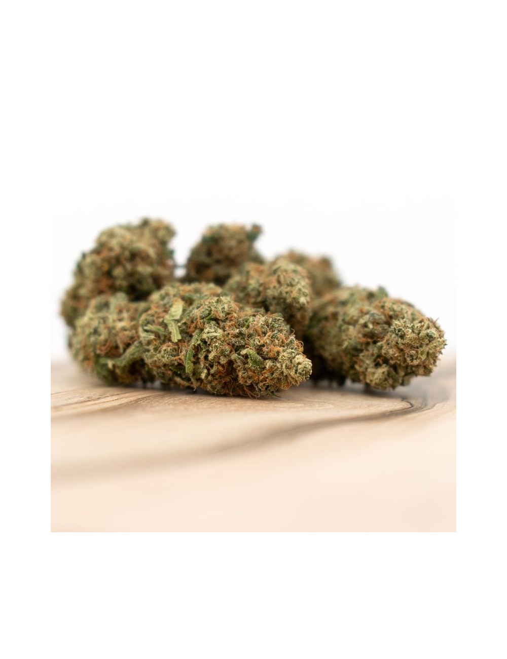 Herba di Berna - Power Plant Indoor (CHF 50.00/12g)