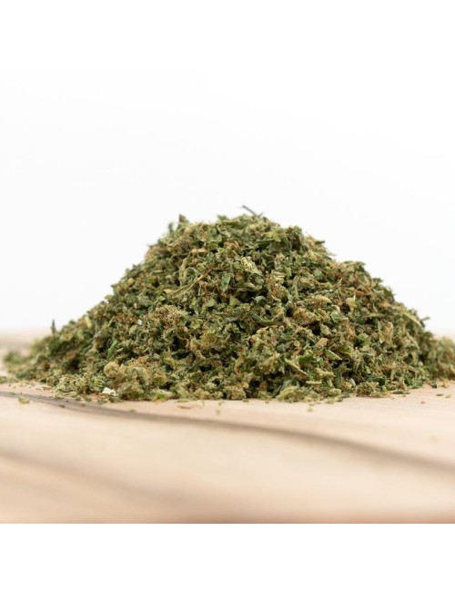 Herba di Berna - Power Plant Indoor Trim (CHF 25.00/20g)