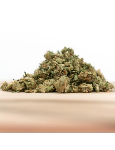 Herba di Berna - Power Plant Indoor Mini-Buds (CHF 40.00/21g)