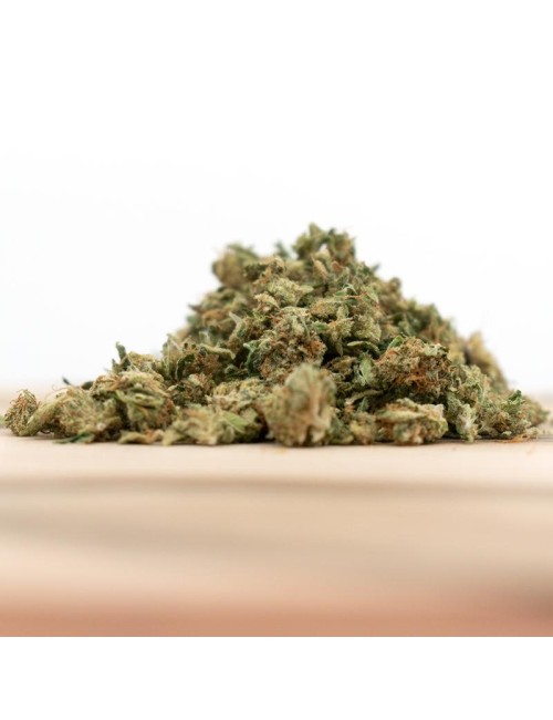 Herba di Berna - Power Plant Indoor Mini-Buds (CHF 40.00/21g)