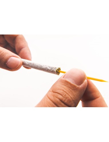 SliDDERZ Joint Stick - Pineapple Haze (1 pcs.)