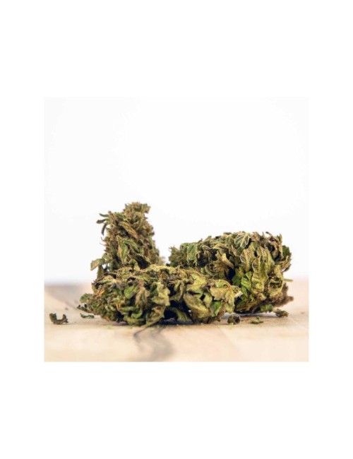 Herba di Berna - Blueberry Muffin Outdoor (CHF 40.00/45g)