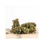 Herba di Berna - Blueberry Muffin Outdoor (CHF 40.