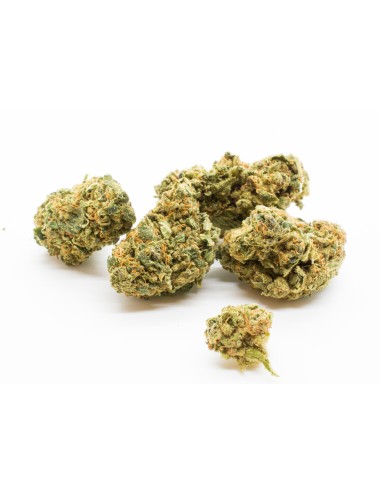 Glue Gelato - Swiss Botanic - Cannabis CBD Suisse